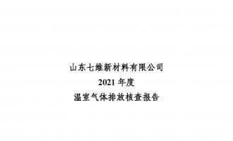 山东七维新材料有限公司2021年度碳核查报告